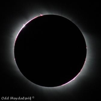 Sun eclipse - Turkey 2006 - Montage prominences - Odd  Hoydalgvik